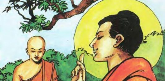 Một câu chuyện về sức mạnh của lòng từ