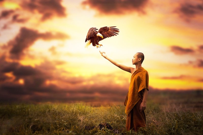 5 câu nói thâm sâu khiến bạn trưởng thành hơn